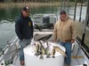 (04/14/2015) - Nice Striped Bass